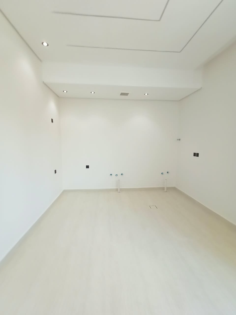fp4.jpg